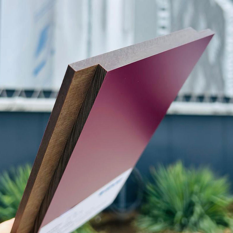 HPL-compact-miez-negru-rezistent-la-umiditate-GEPLAST.jpg (800×800)